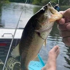 paddle boardda balık