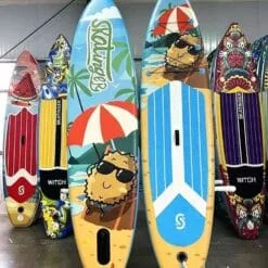 Şişme Sörf Tahtası